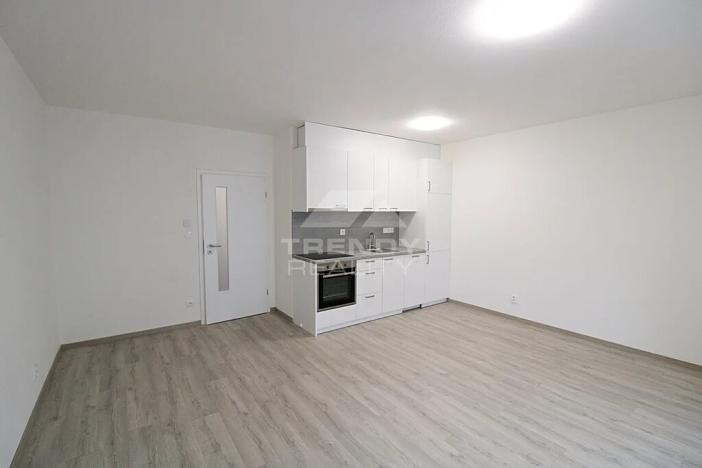 Pronájem bytu 1+kk, Plzeň, Heyrovského, 40 m2