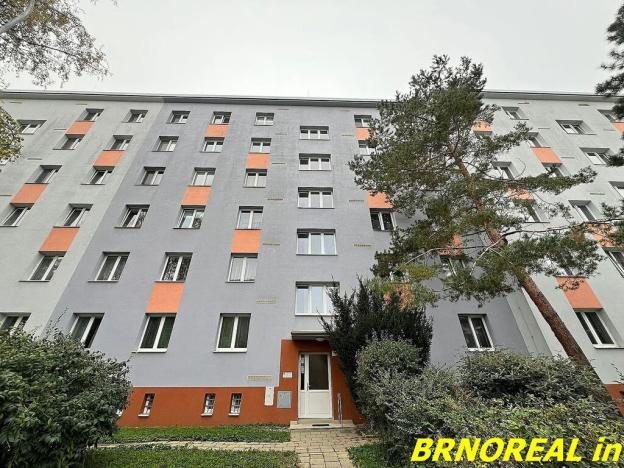 Prodej bytu 2+1, Brno, Svatopluka Čecha, 58 m2