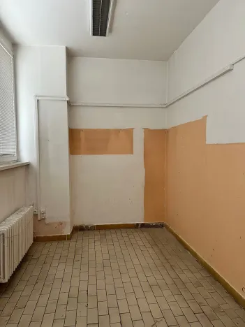 Pronájem komerční nemovitosti, Děčín, Lesní cesta, 230 m2