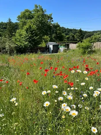 Prodej pozemku pro bydlení, Bítouchov, 799 m2