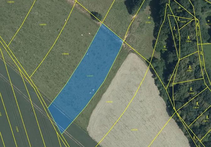 Prodej pole, Velká Bystřice, 4706 m2