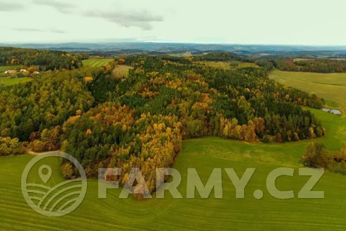 Prodej lesa, Krásná Hora nad Vltavou, 1087255 m2