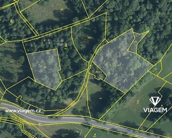 Prodej podílu lesa, Vrbatův Kostelec, 873 m2