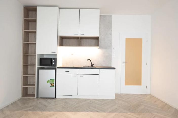 Pronájem bytu 1+kk, Brno, Cejl, 40 m2