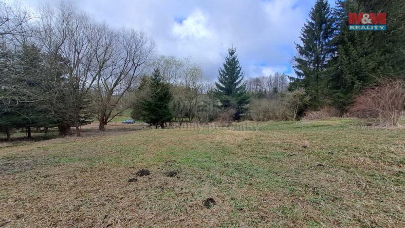 Prodej pozemku pro bydlení, Vikantice, 1968 m2