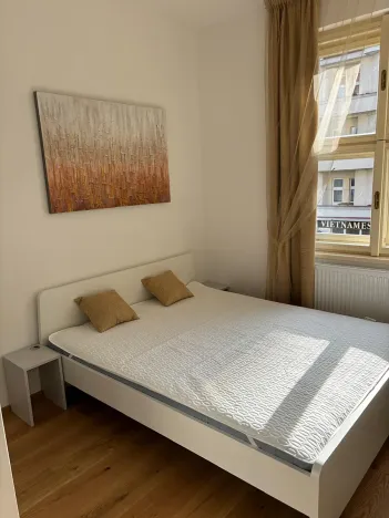 Pronájem bytu 1+1, Praha - Dejvice, Studentská, 30 m2