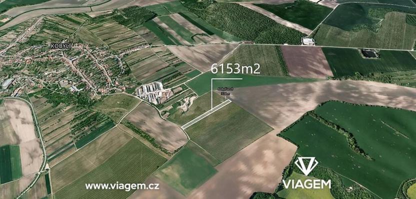 Prodej podílu sadu/vinice, Kobylí, 3418 m2