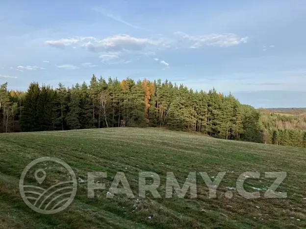 Prodej pole, Planá, 21513 m2
