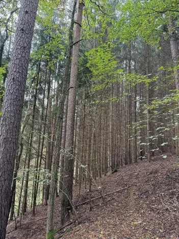 Prodej pozemku, Slavče, 13051 m2