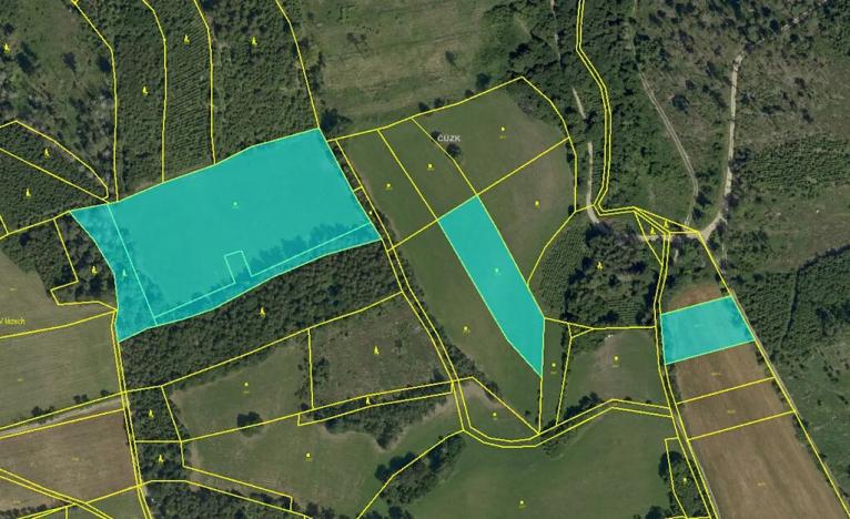 Prodej louky, Sejřek, 23474 m2