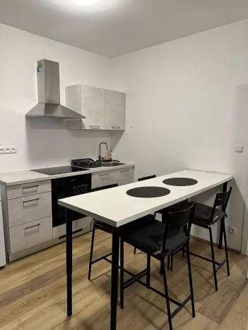 Pronájem bytu 1+kk, Praha - Ruzyně, Drnovská, 45 m2