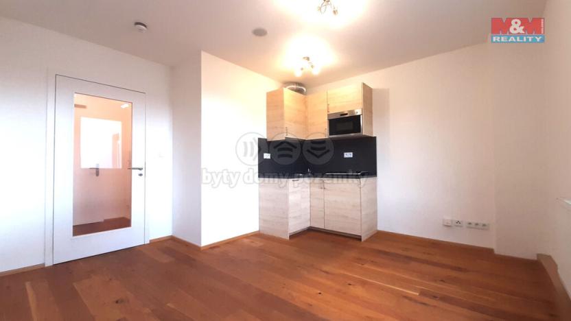 Pronájem bytu 1+kk, Praha - Vinohrady, Perucká, 26 m2