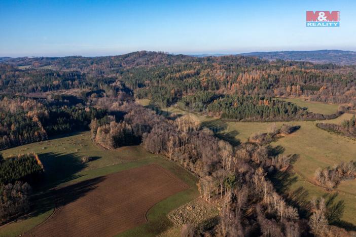 Prodej lesa, Nalžovské Hory - Nalžovy, 25838 m2