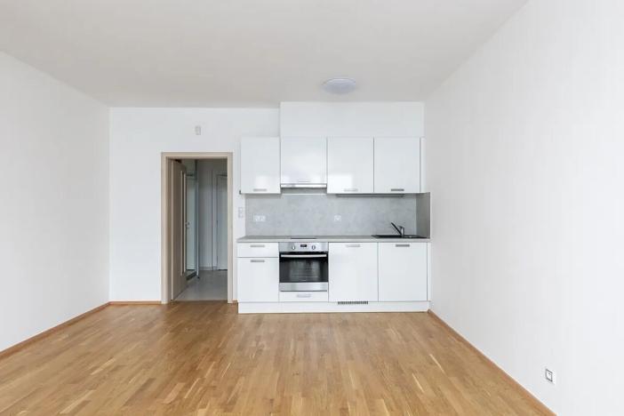 Pronájem bytu 1+kk, Praha - Žižkov, Olšanská, 37 m2