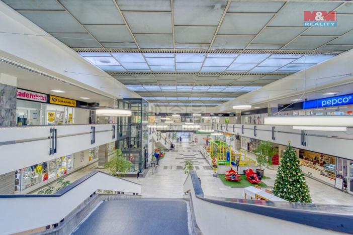 Pronájem obchodního prostoru, Plzeň - Doudlevce, Skupova, 200 m2