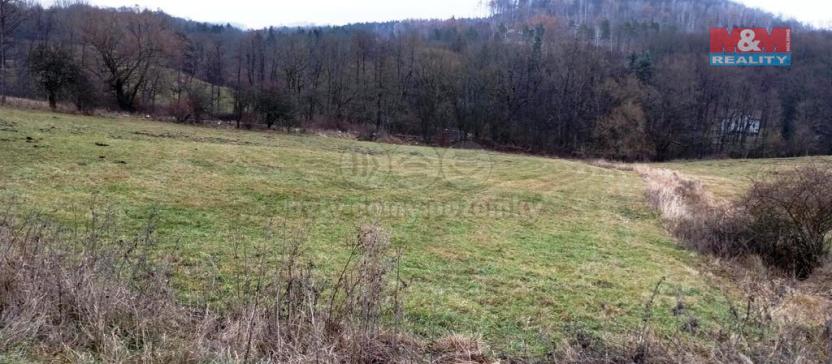 Prodej louky, Třebušín, 8010 m2