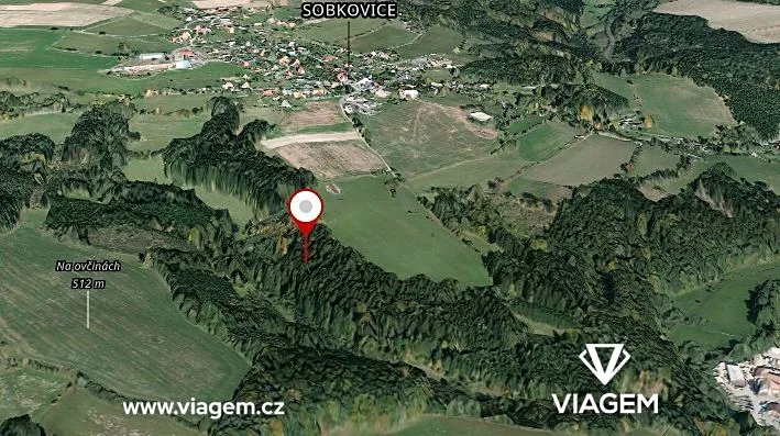 Prodej podílu lesa, Sobkovice, 3260 m2