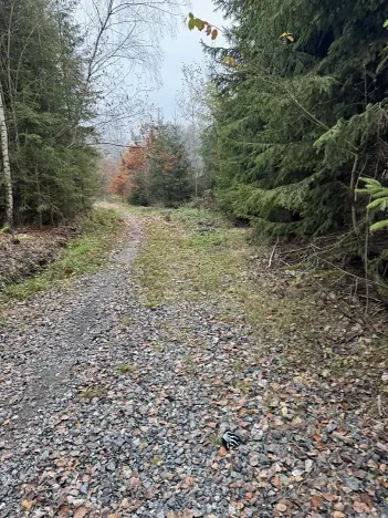 Prodej pozemku, Světlá nad Sázavou, 6085 m2