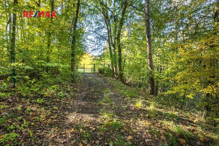 Prodej lesa, Praha - Malá Chuchle, 17570 m2