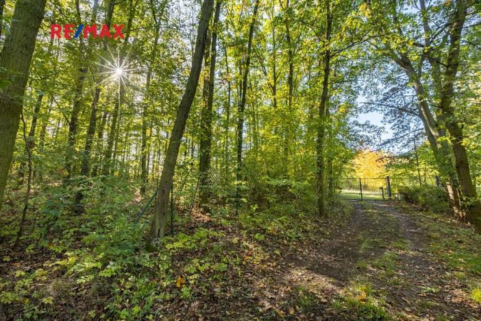 Prodej lesa, Praha - Malá Chuchle, 17570 m2