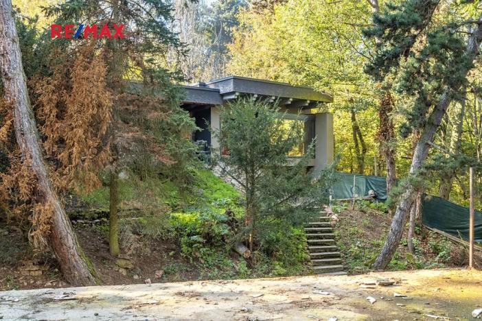 Prodej lesa, Praha - Malá Chuchle, 17570 m2