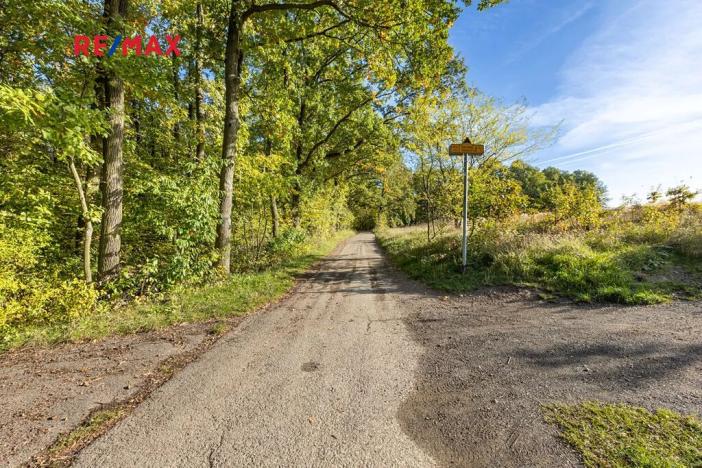 Prodej lesa, Praha - Malá Chuchle, 17570 m2