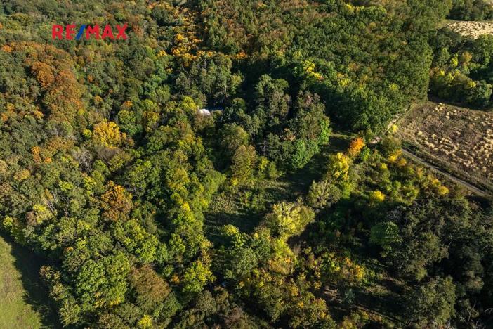 Prodej lesa, Praha - Malá Chuchle, 17570 m2
