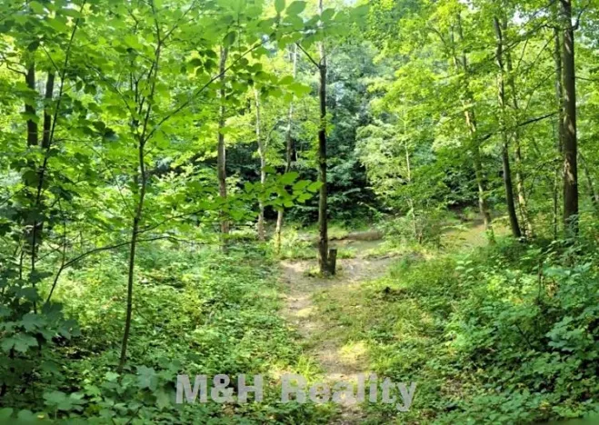 Prodej lesa, Ostravice, 7872 m2