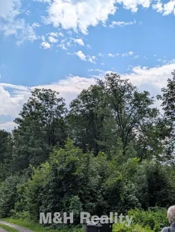 Prodej lesa, Ostravice, 7872 m2