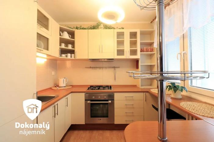 Pronájem bytu 1+kk, Slaný, Arbesova, 43 m2