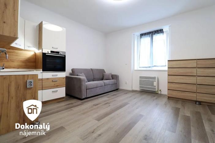 Pronájem bytu 1+kk, Praha - Libeň, U svobodárny, 25 m2