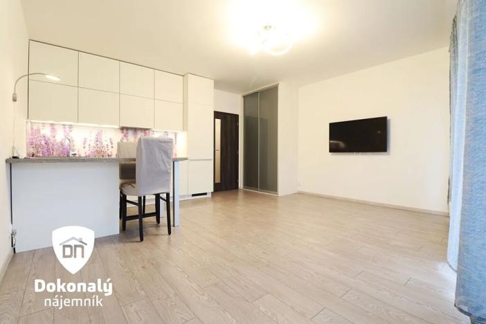 Pronájem bytu 1+kk, Praha - Dejvice, Lindleyova, 34 m2