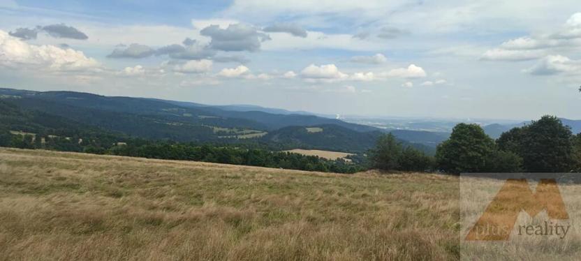 Prodej louky, Stráž nad Ohří, 69991 m2