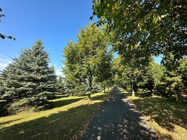 Prodej rodinného domu, Zeleneč, Konvalinková, 143 m2