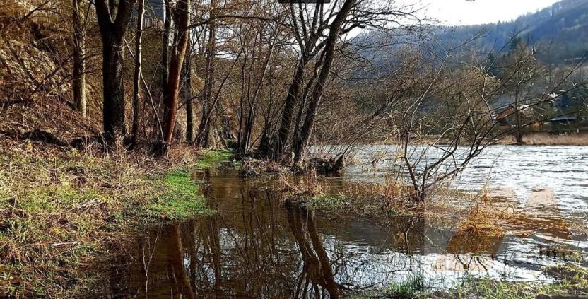 Prodej louky, Stráž nad Ohří, 14838 m2