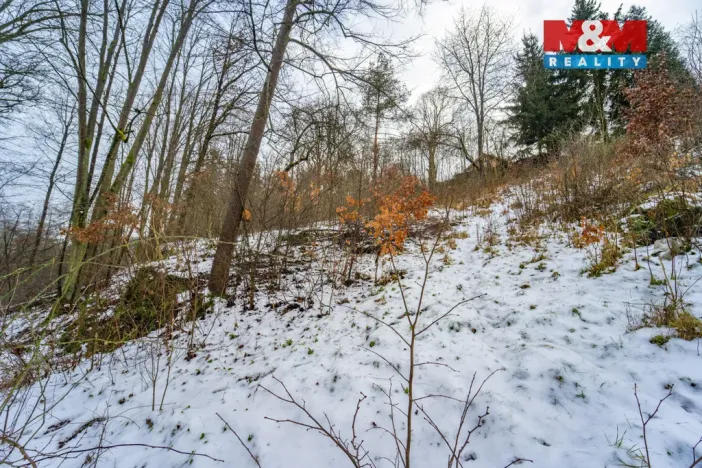 Prodej zahrady, Plasy, 2180 m2