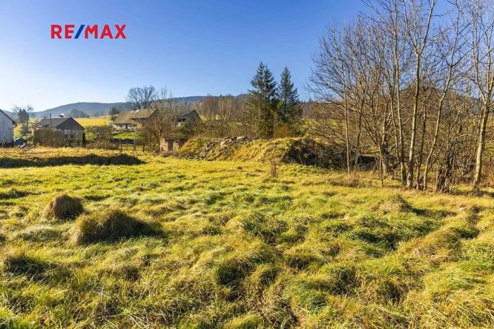 Prodej pozemku pro bydlení, Bělá pod Pradědem, 6840 m2