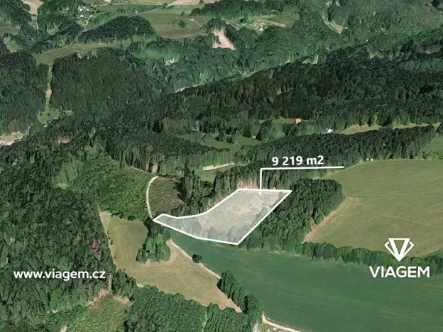 Prodej podílu lesa, Jestřabí v Krkonoších, 790 m2