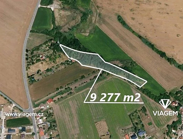 Prodej podílu lesa, Charváty, 1159 m2