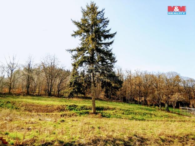 Prodej pozemku pro bydlení, Krnov - Pod Cvilínem, 1311 m2