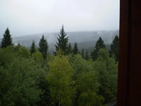 Prodej bytu 2+kk, Železná Ruda, 46 m2