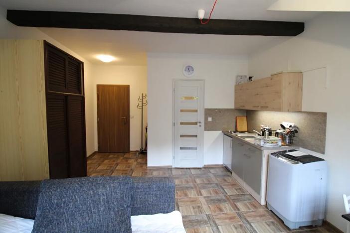 Pronájem bytu 1+kk, Karlovy Vary, Svahová, 22 m2