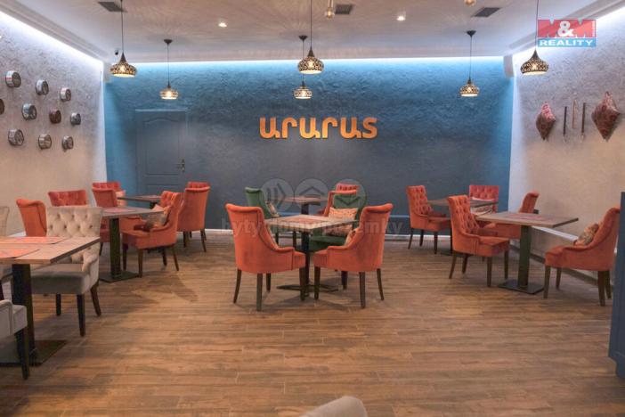 Pronájem ubytování, Praha - Střešovice, Nad hradním vodojemem, 426 m2