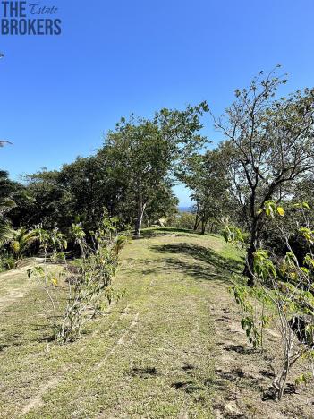 Prodej pozemku, Jonesville, José Santos Guardiola, Honduras, 1884 m2