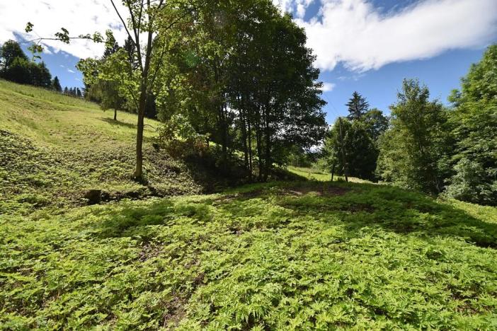 Prodej pozemku pro bydlení, Zlaté Hory, 2799 m2