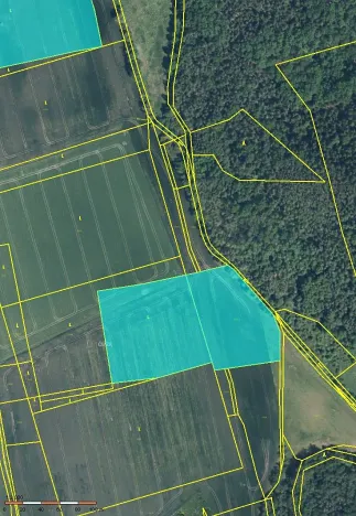 Prodej pole, Nové Sedlo, 116556 m2