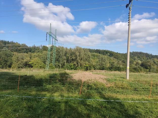 Prodej louky, Potštejn, 52202 m2