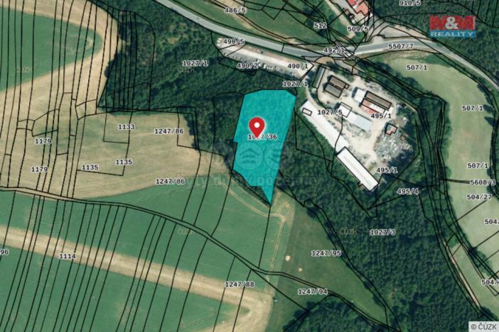 Prodej lesa, Kralovice, 6740 m2