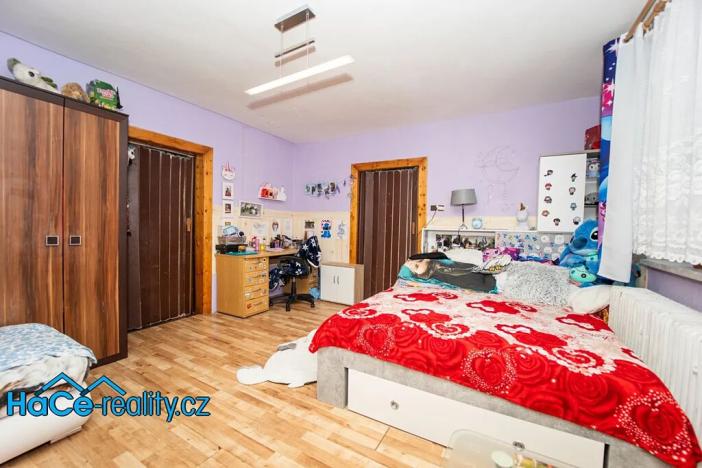 Prodej rodinného domu, Nový Ples, 320 m2