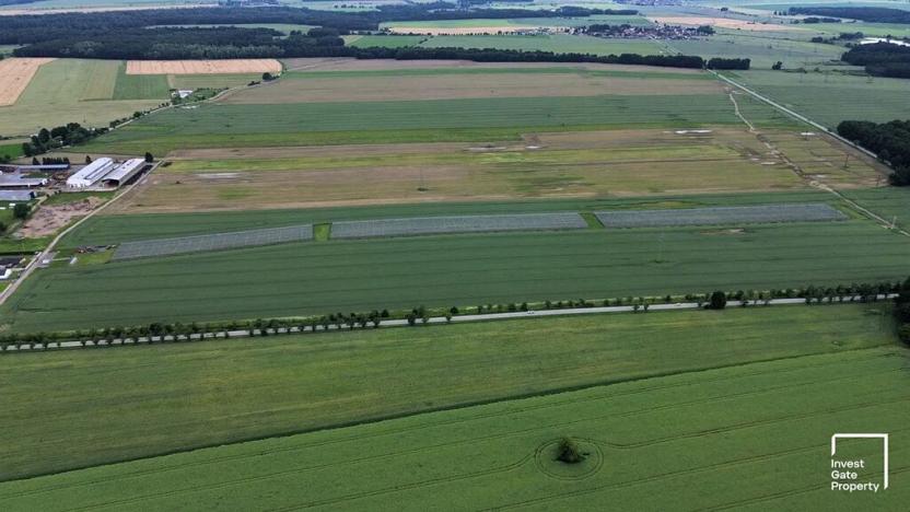 Prodej zemědělského objektu, Čejkovice, 32904 m2